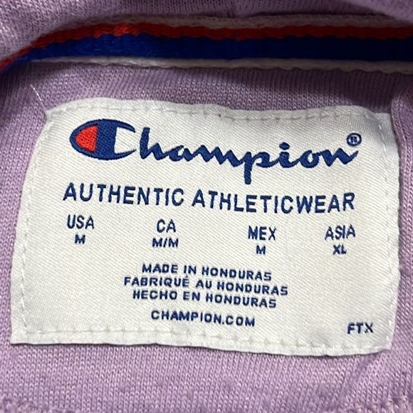 Champion Lavender Purple Teal Logo Script Hoodie Sz Medium - Picture 3 of 12